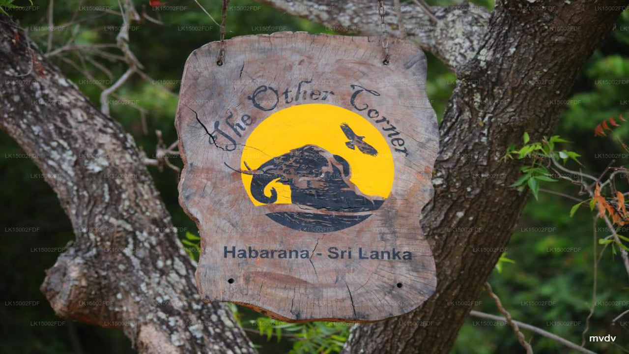 另一个角落,哈巴拉娜