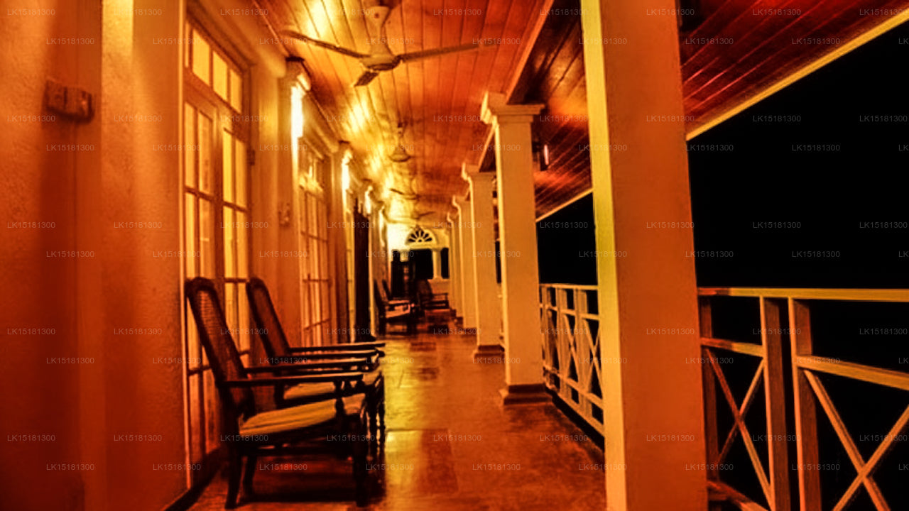 森林边缘,基图尔加勒