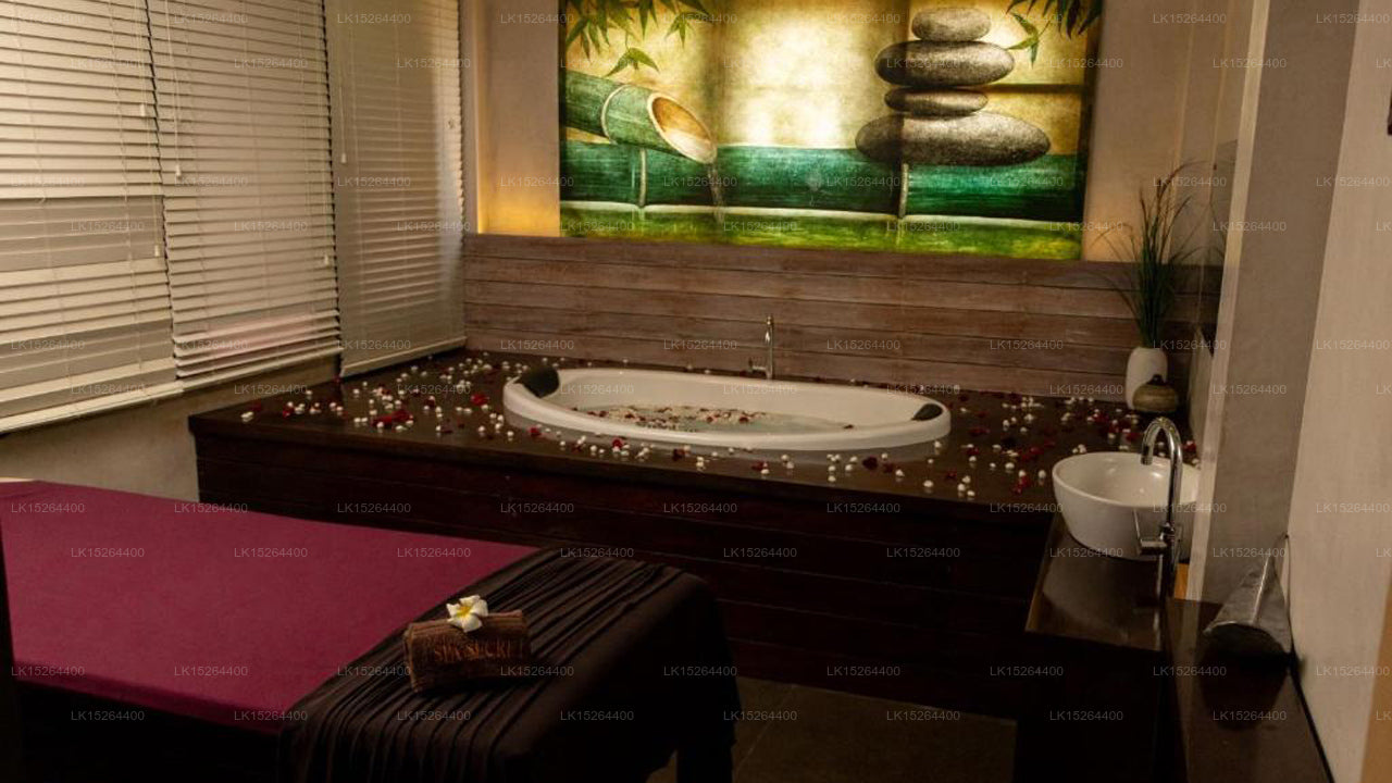 露台绿色酒店及水疗中心,尼甘布