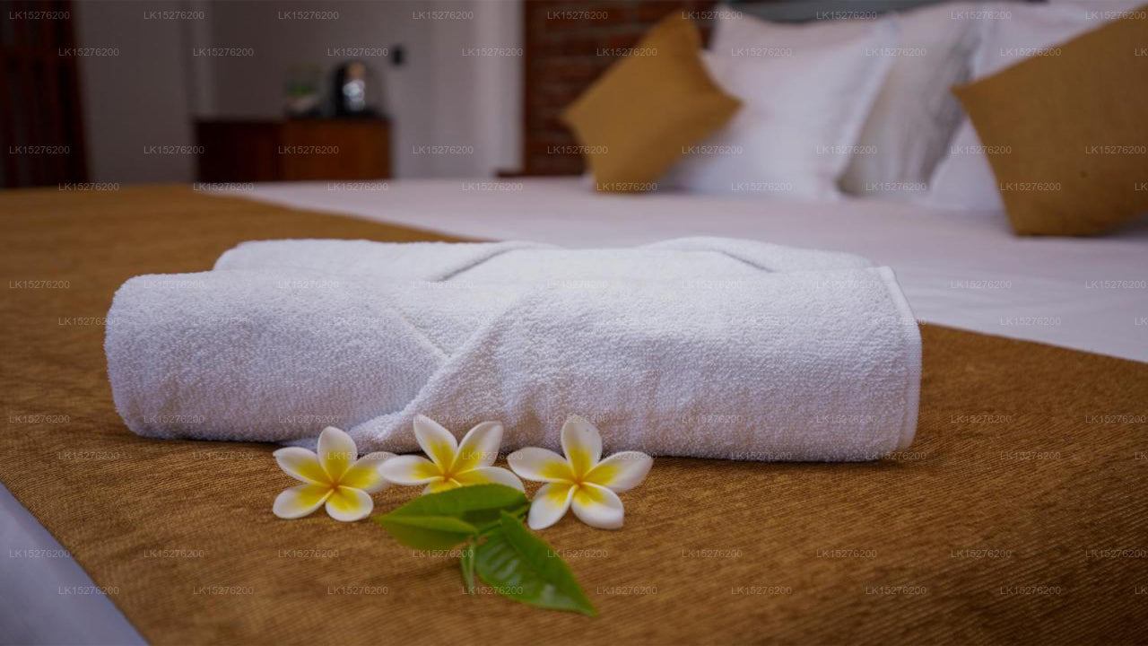 Dowa Elegance Resort, Ella