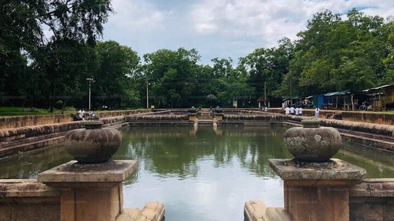 阿努拉德普勒圣地导览游(含门票)