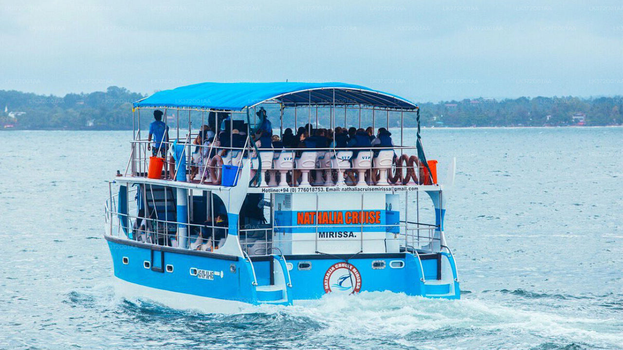 A whale watching boat with several passengers on board, traveling on open waters.