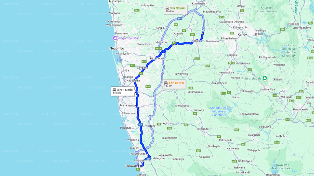 来自贝鲁瓦拉的品纳瓦拉大象孤儿院