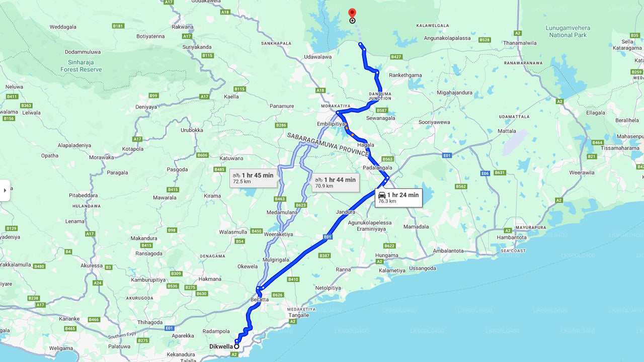 从迪克韦拉出发,前往乌达瓦拉维国家公园进行野生动物之旅