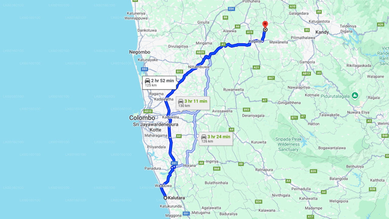 来自卡卢特勒的品纳瓦拉大象孤儿院