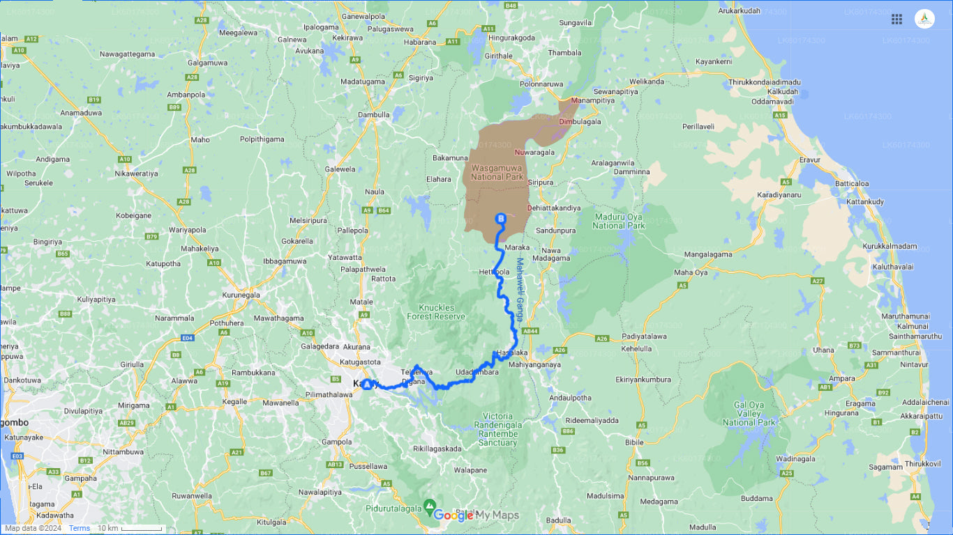 从康提出发前往瓦斯加穆瓦国家公园进行野生动物之旅