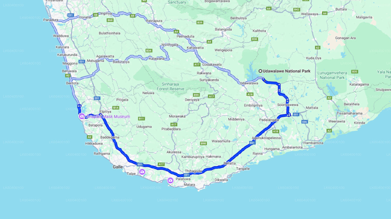 从阿洪加拉出发,前往乌达瓦拉维国家公园进行野生动物之旅