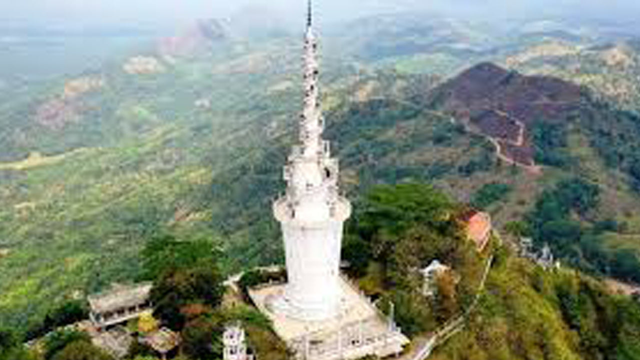 安布卢瓦瓦入场券