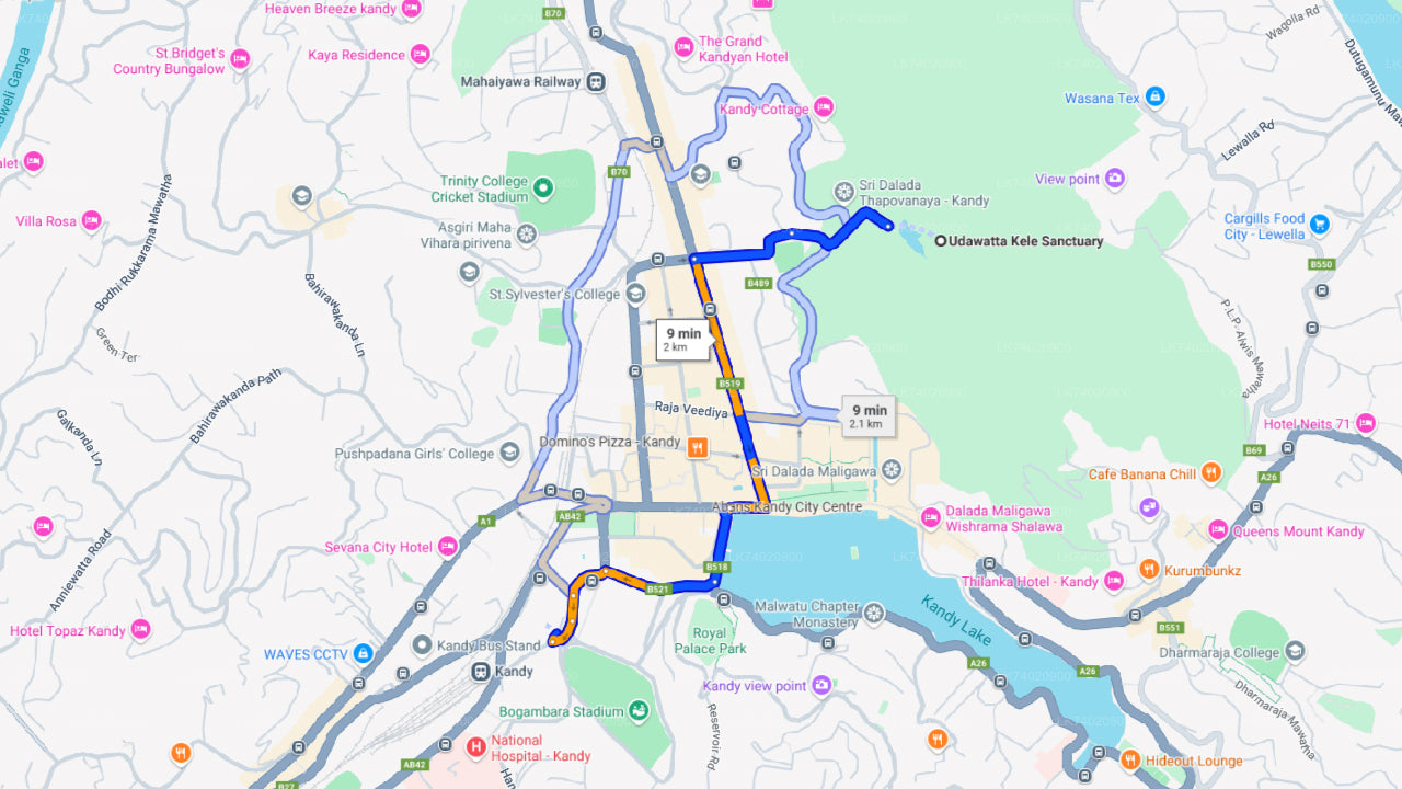 从康提出发前往乌达瓦塔凯勒森林保护区徒步旅行