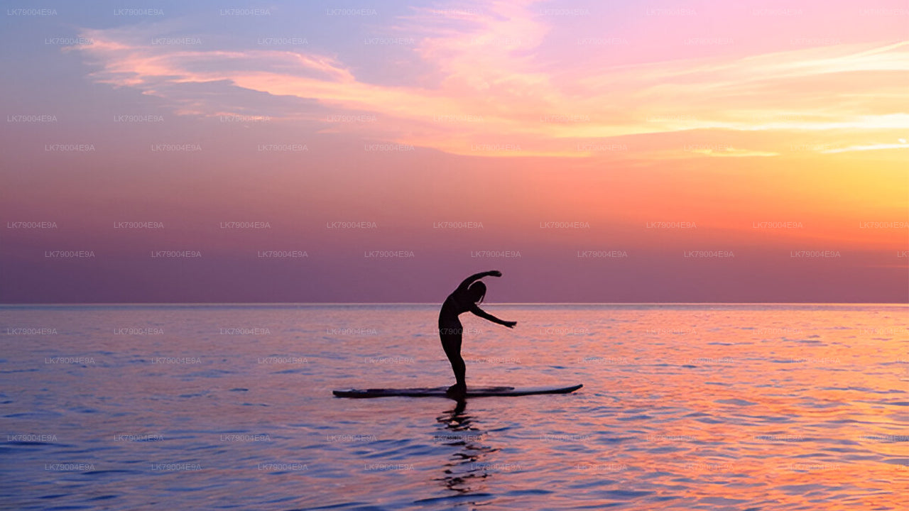 从米瑞莎出发的3小时共享日落巡航