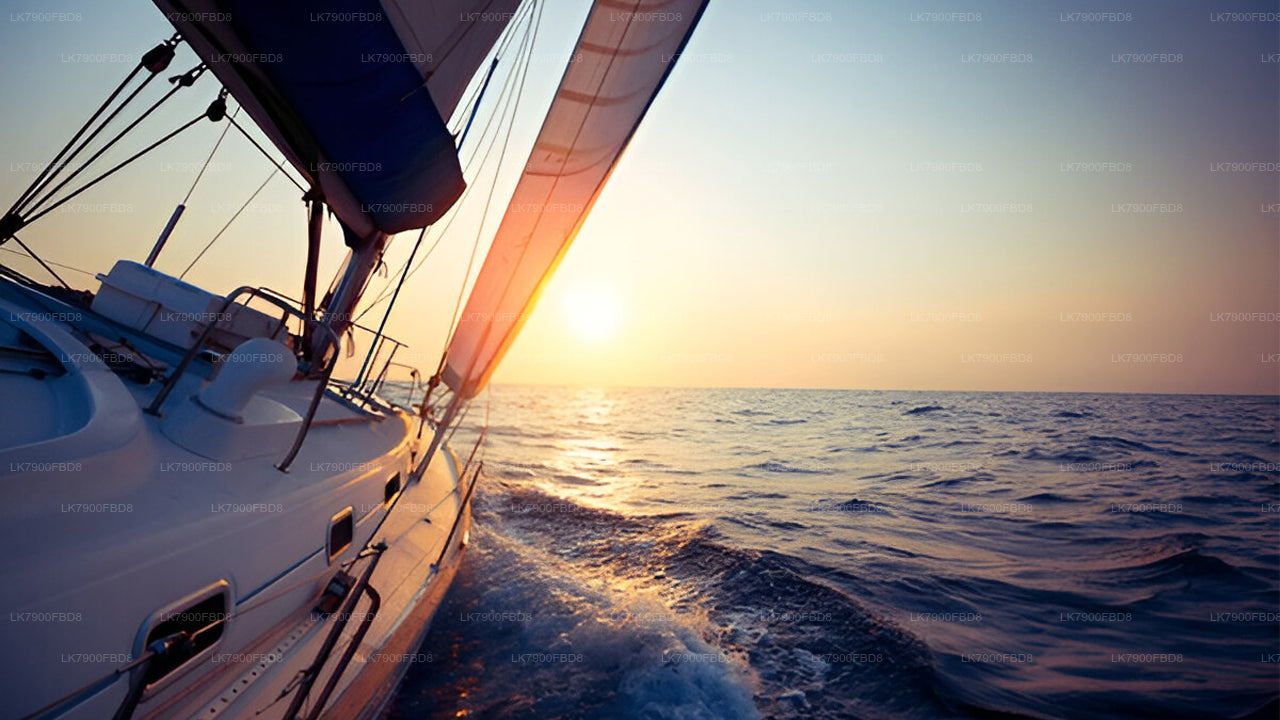 米瑞莎6晚游轮假期