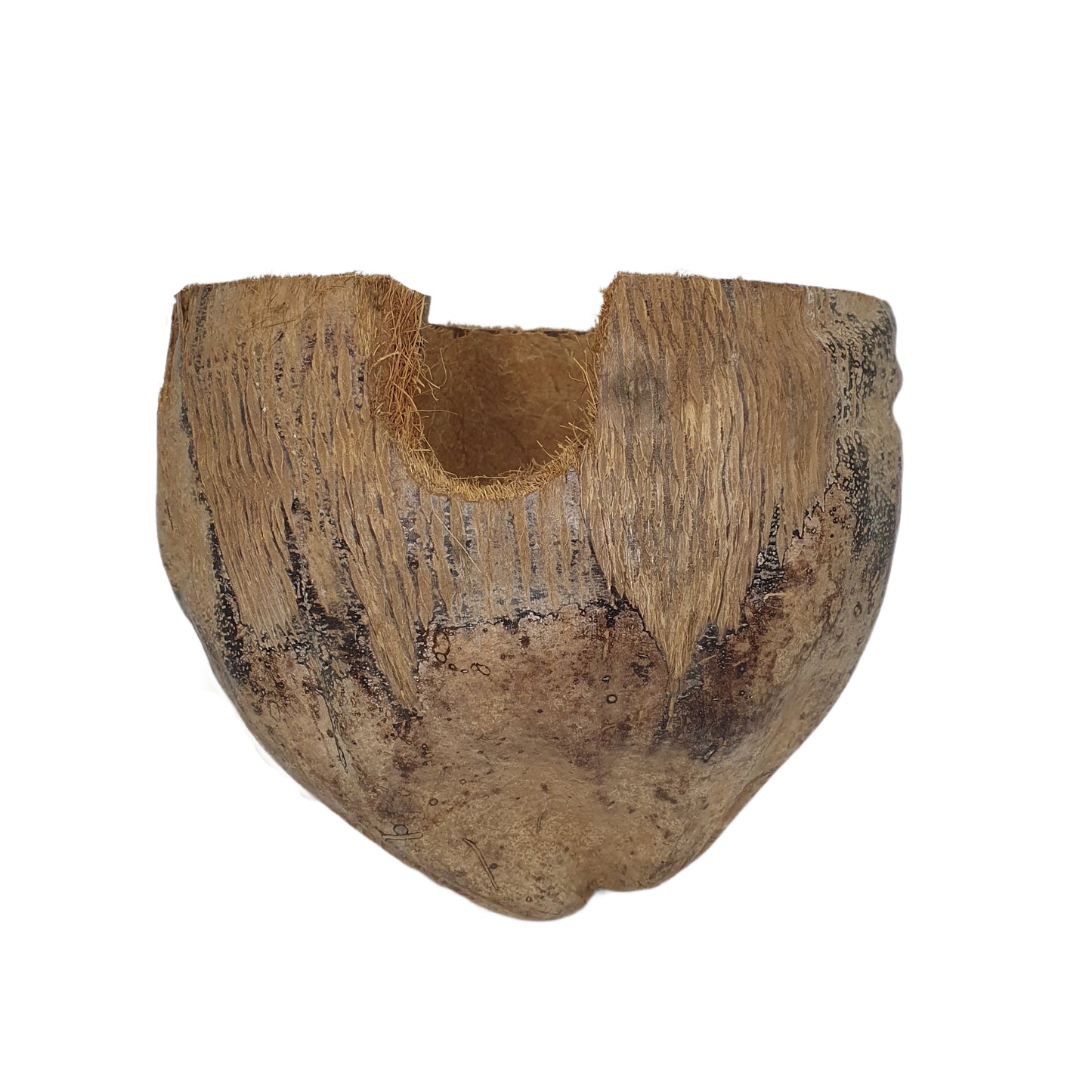 Bivenro Natural 3/4 可可藏身处采用外壳设计(均码)