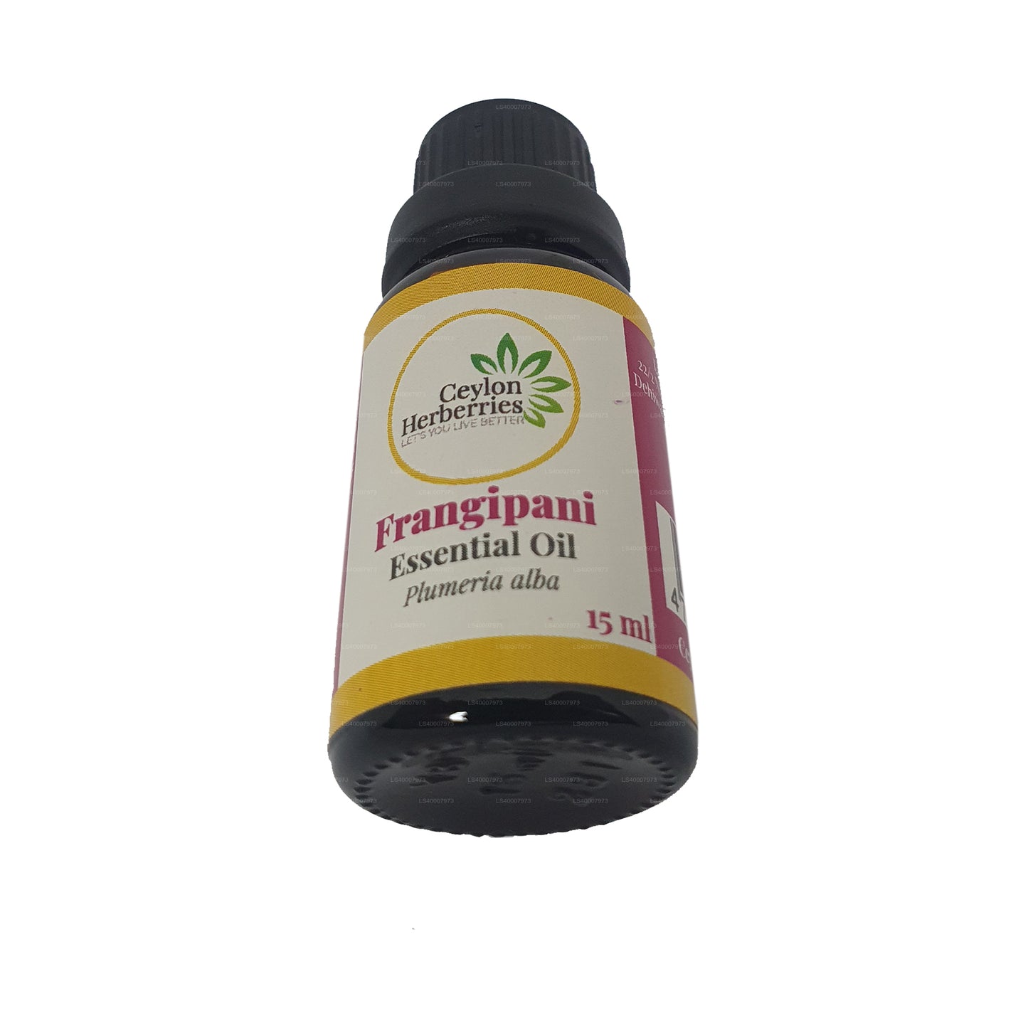 锡兰草莓赤素馨花精油 (Plumeria alba) 15ml