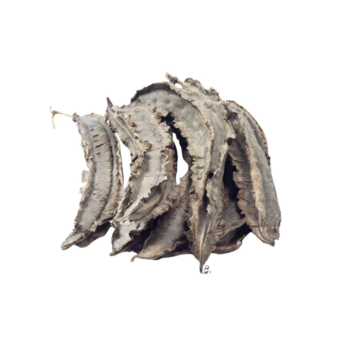 拉克普拉® 翼豆