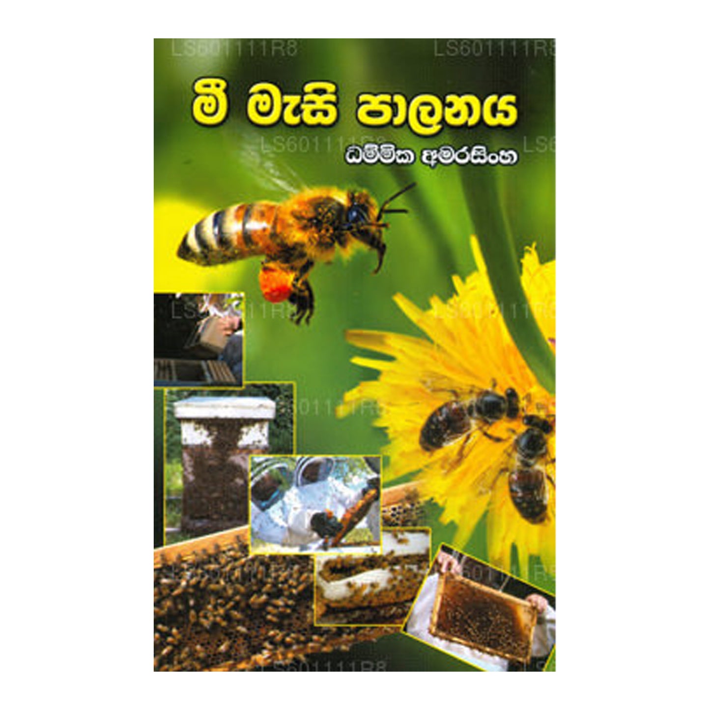 Mee Masi Palanaya