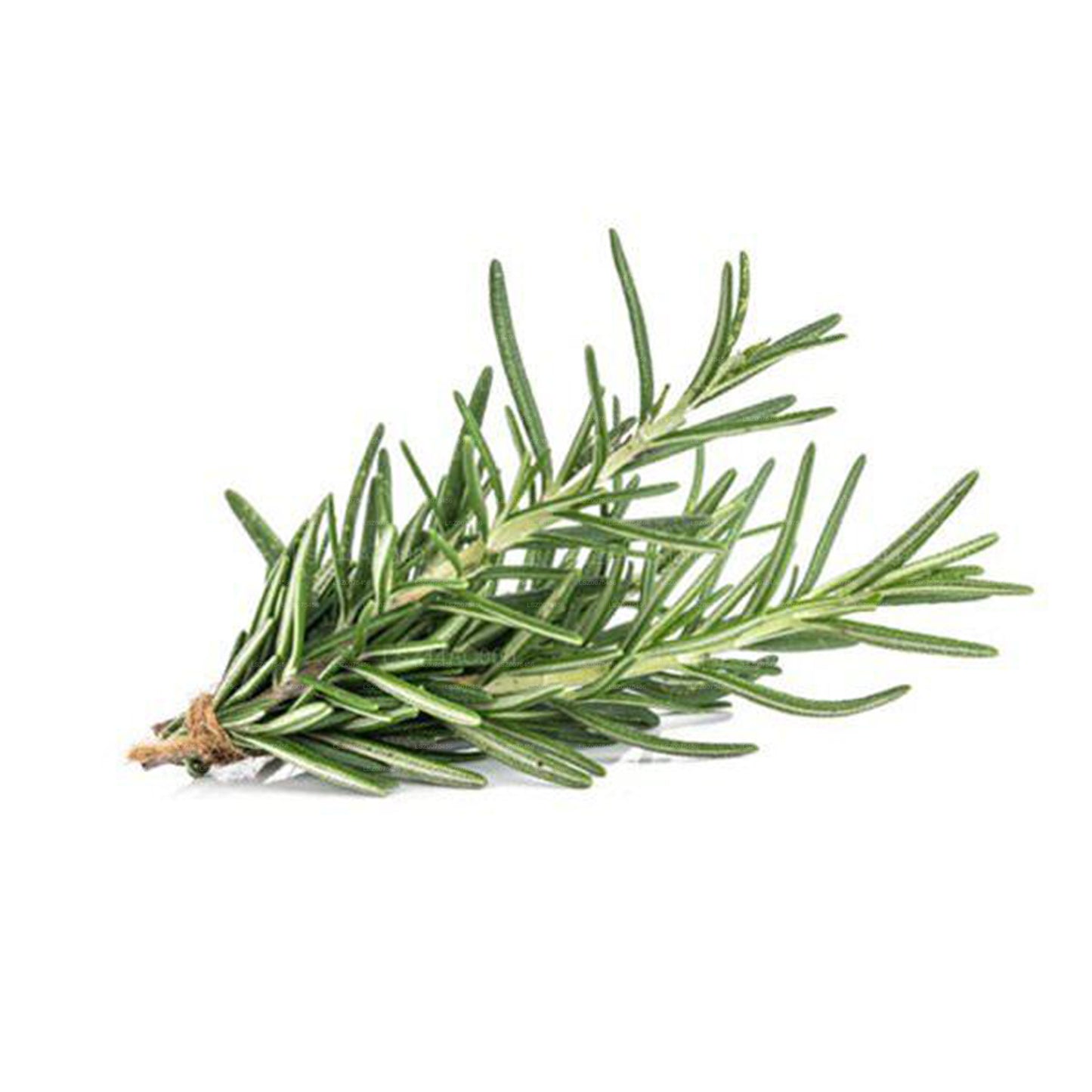 Lakpura® Rosemary
