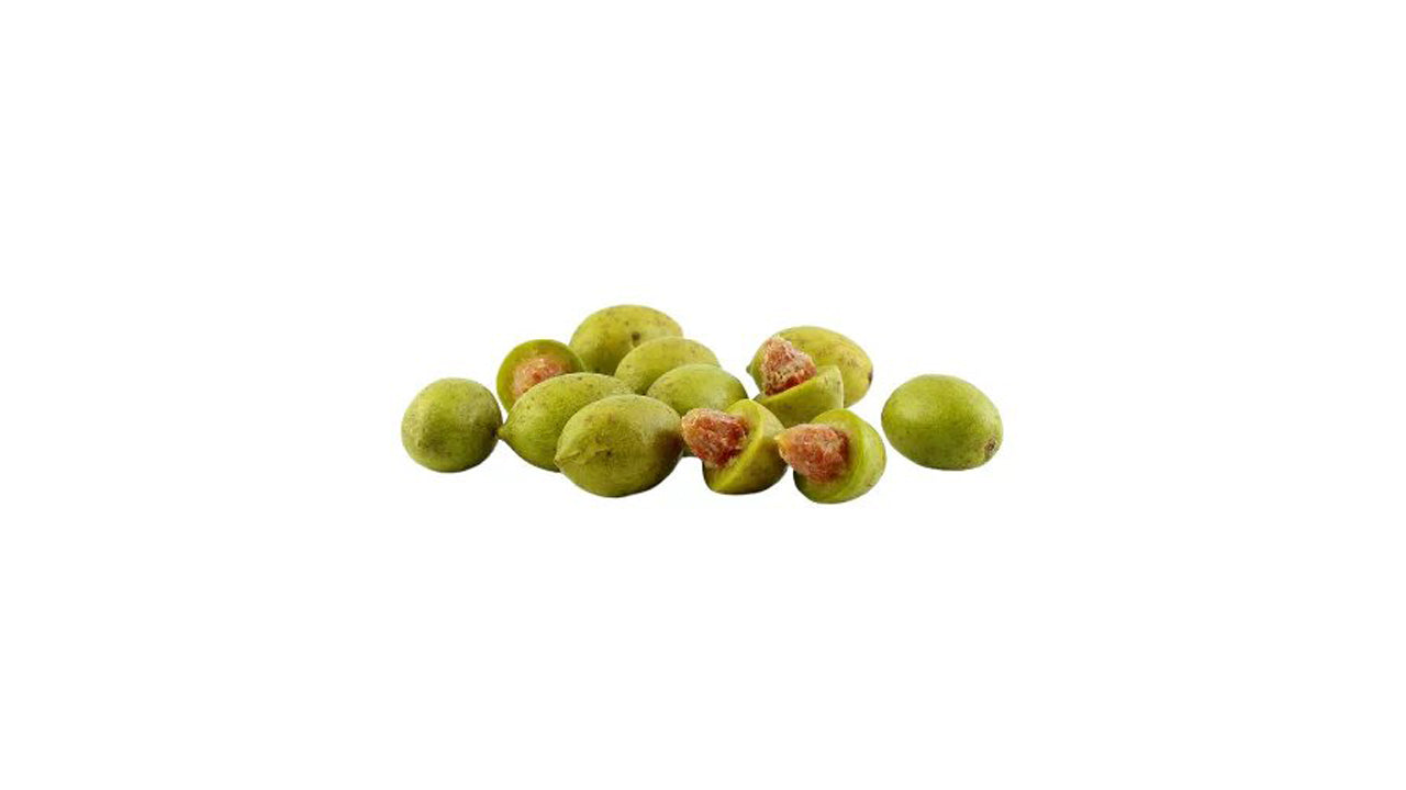 Lakpura Ceylon Olives (Weralu) Plant