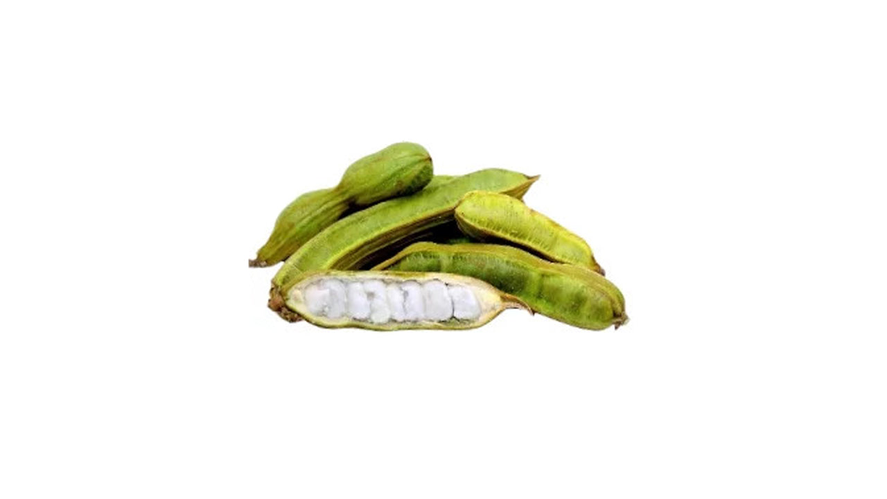 Lakpura® Ice Cream Bean Plant