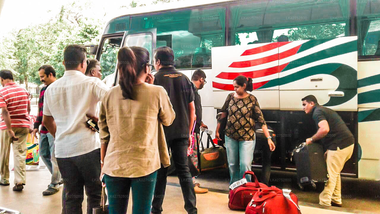 Trincomalee City to Habarana City Private Transfer