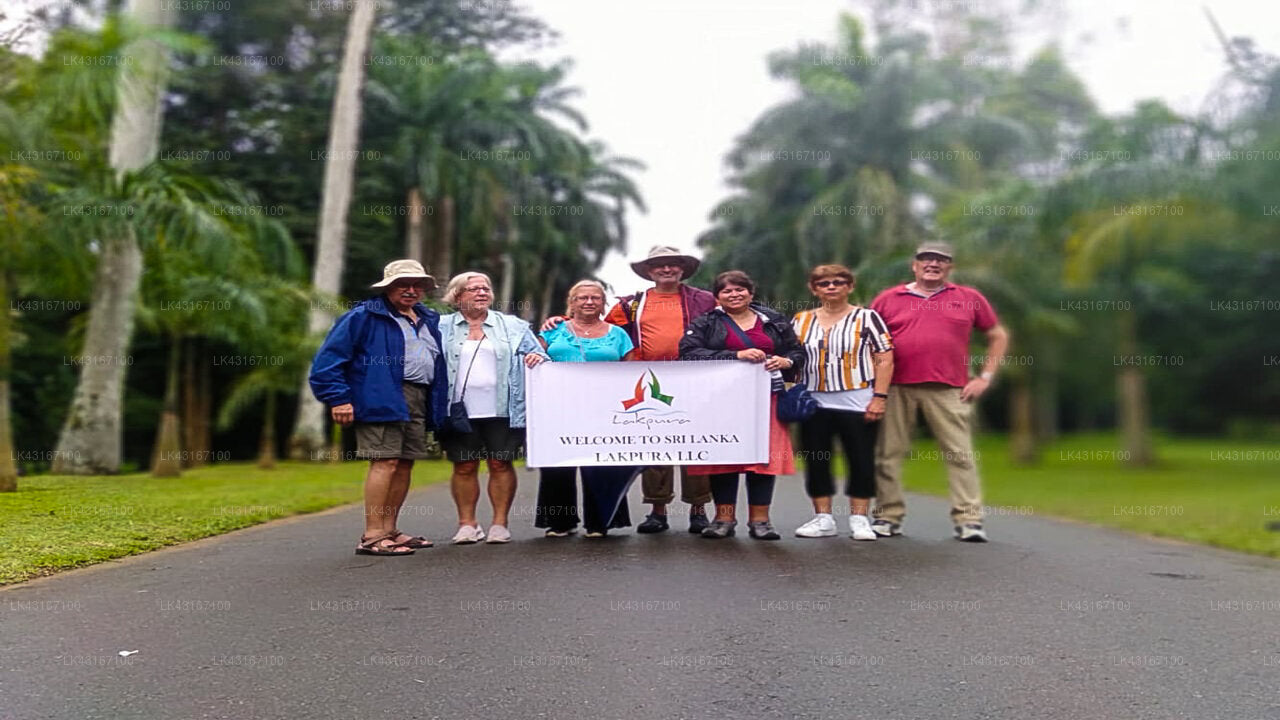 Transfer between Colombo Airport (CMB) and Ramboda Falls Hotel, Ramboda