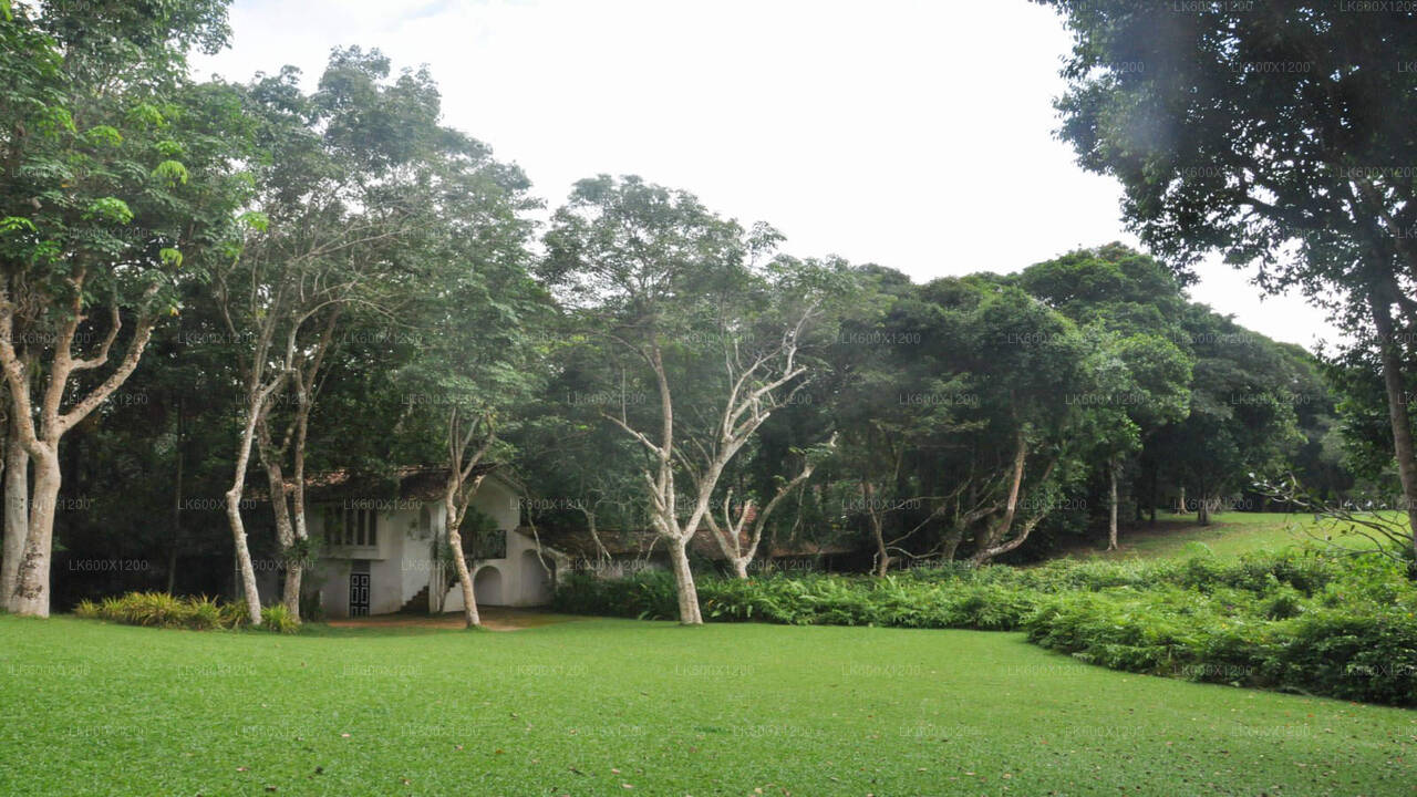 从希卡杜瓦出发的本托塔城市之旅