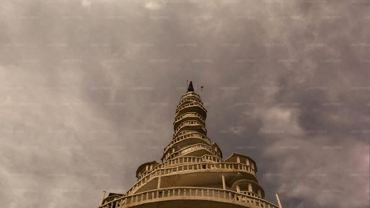 从康提探索安布卢瓦瓦生物多样性中心