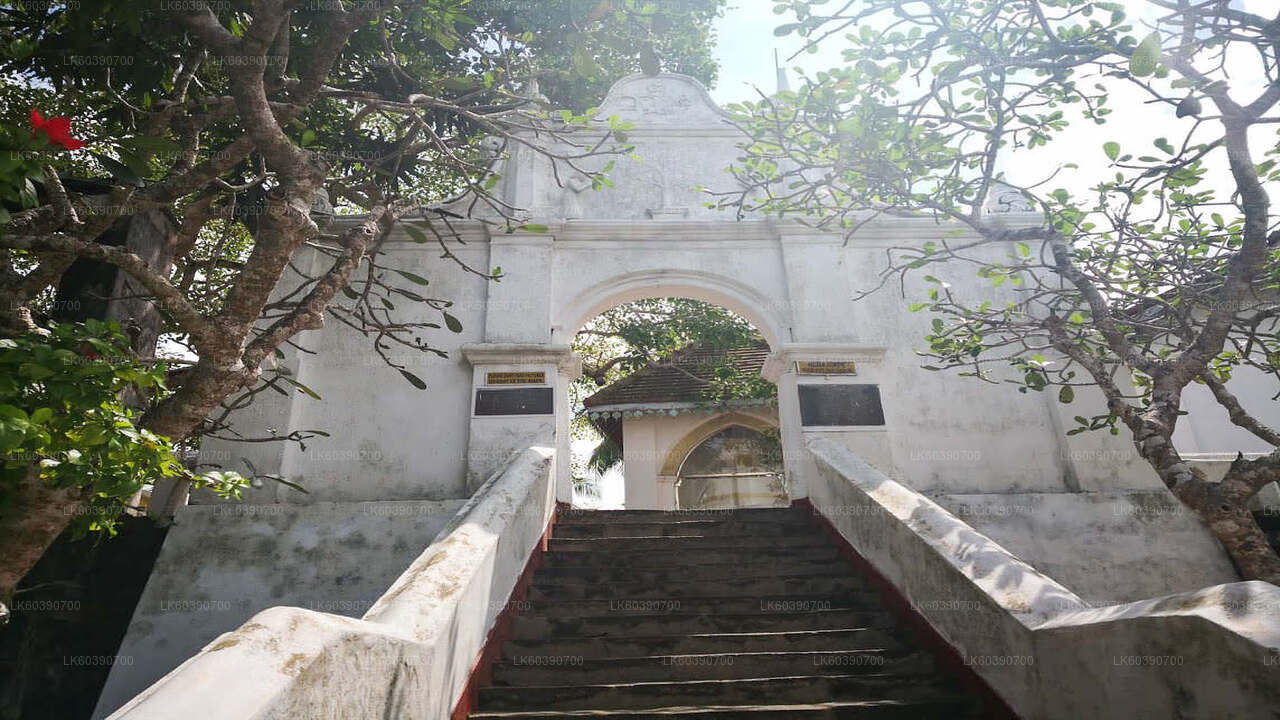 从巴拉皮蒂亚出发,游览本托塔市区和加勒