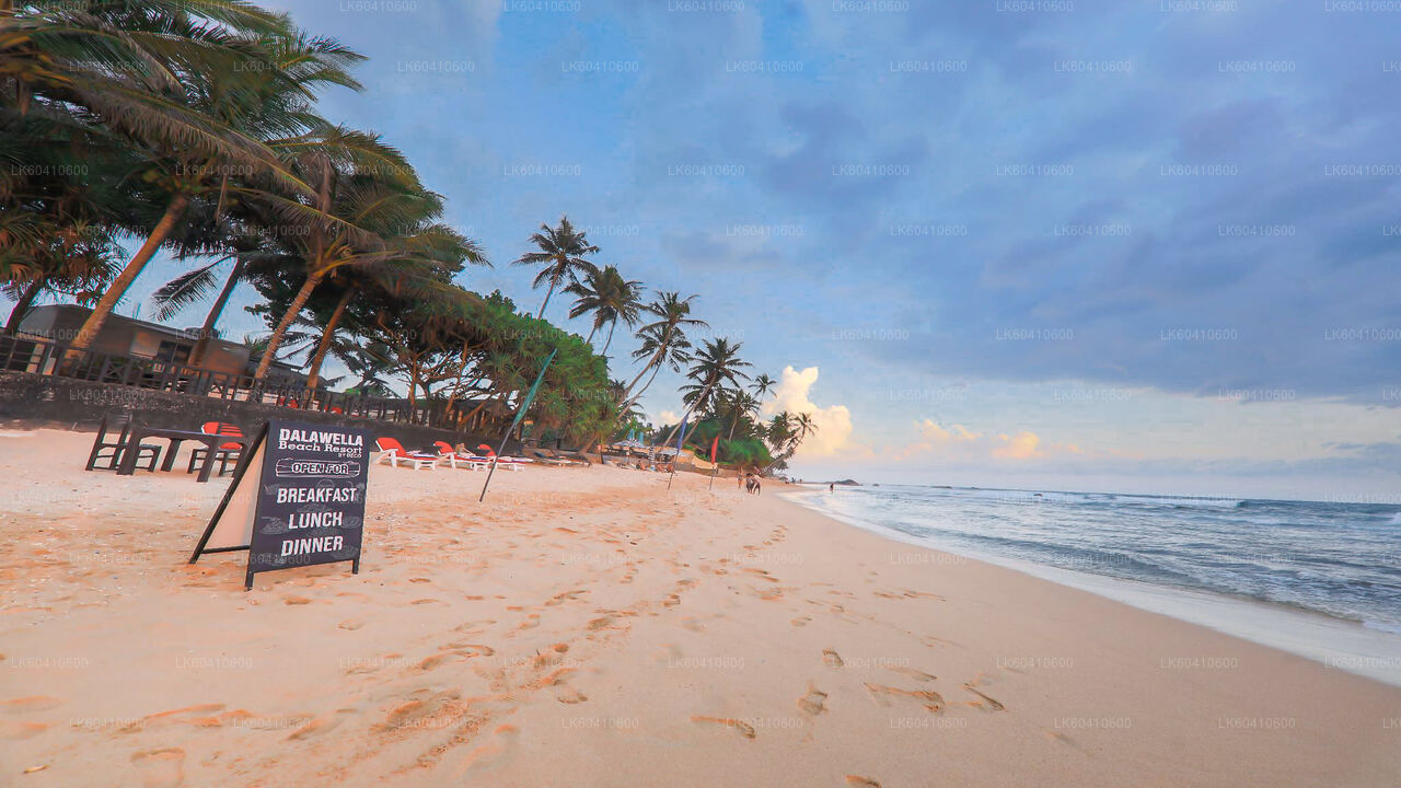 从乌纳瓦图纳出发的隐秘寺庙和僻静海岸线之旅