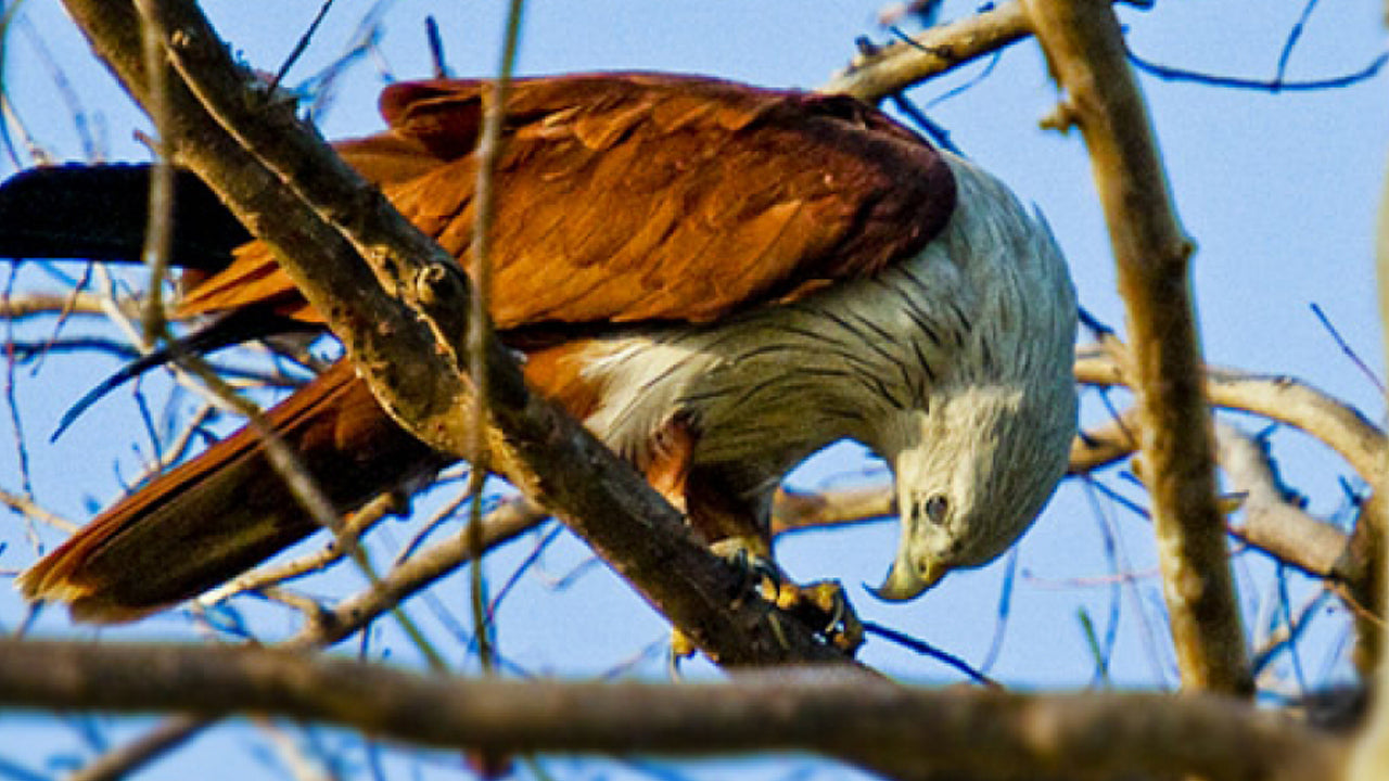 米内日亚国家公园门票