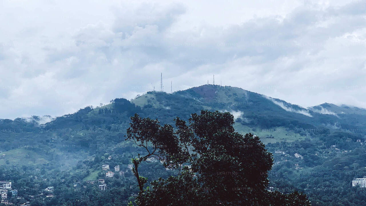 从康提出发的汉塔纳山脉徒步旅行