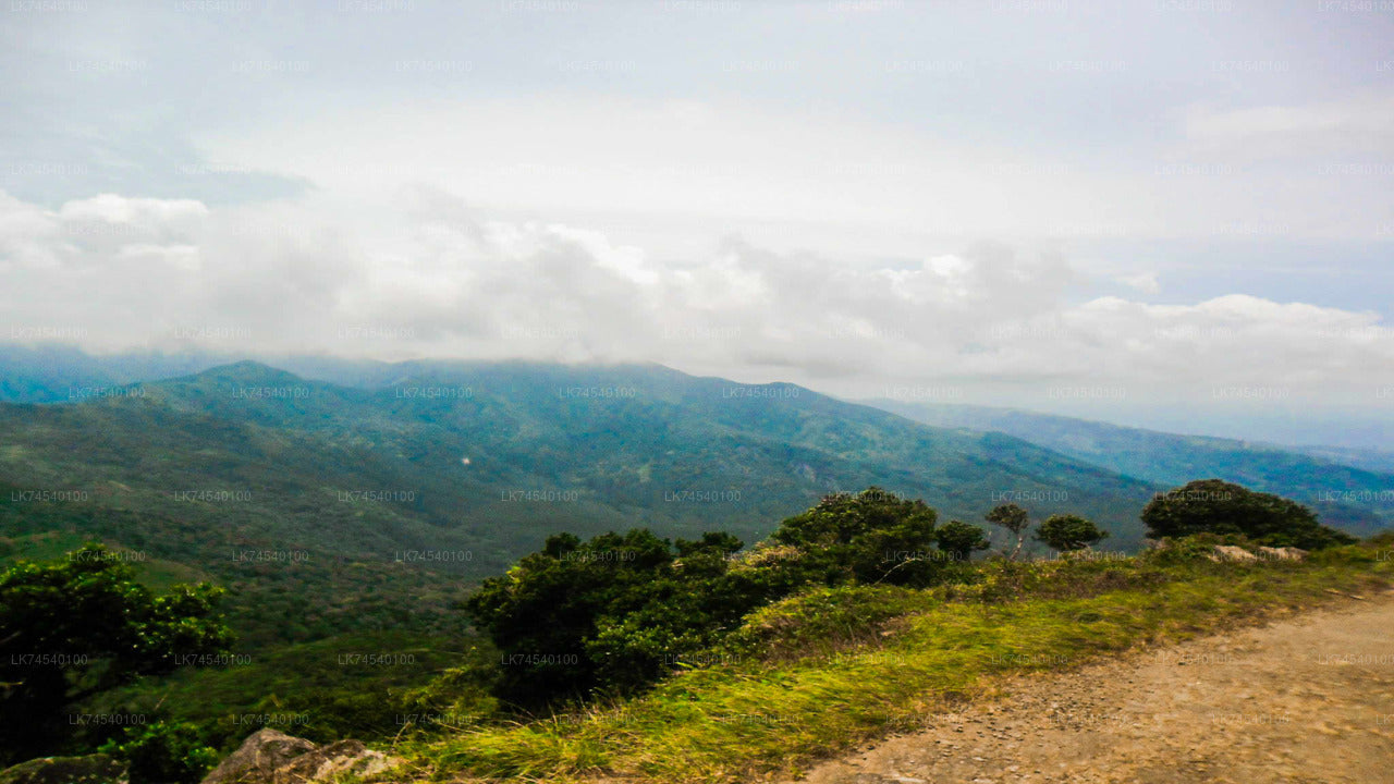Hiking to Riverston Highlands from Matale