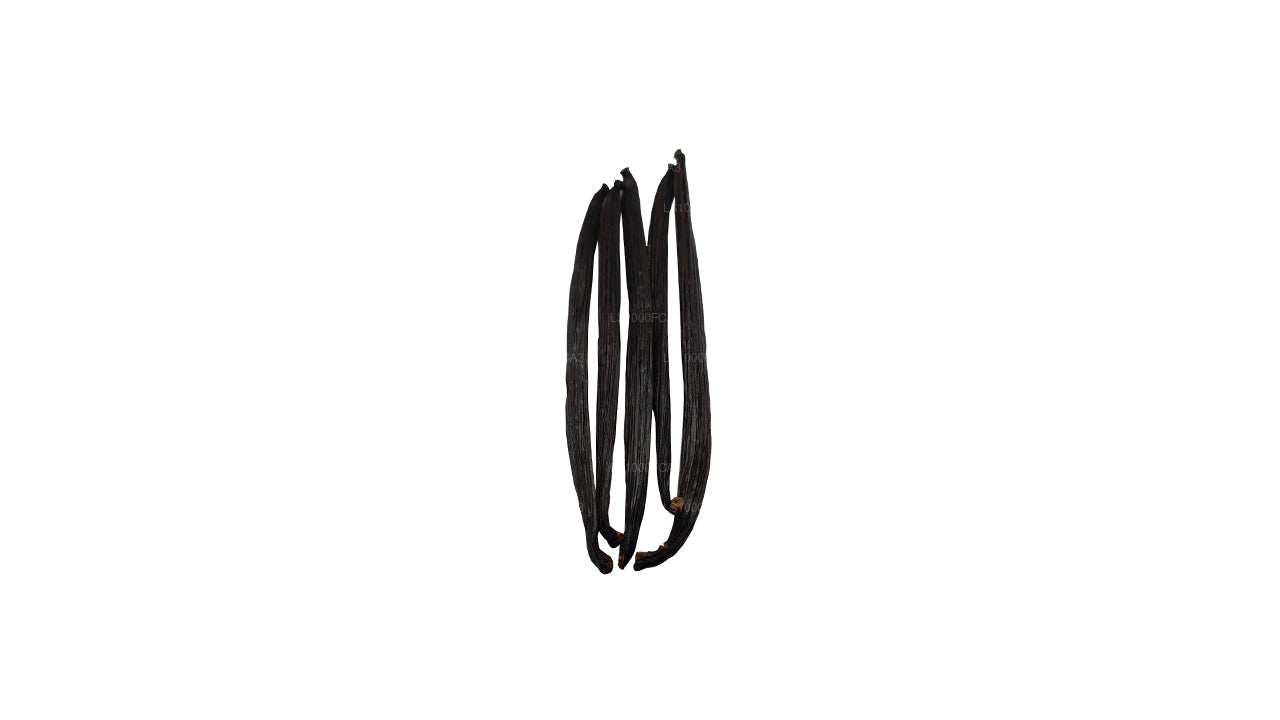 Lakpura 斯里兰卡(锡兰)“A” 级天然香草豆