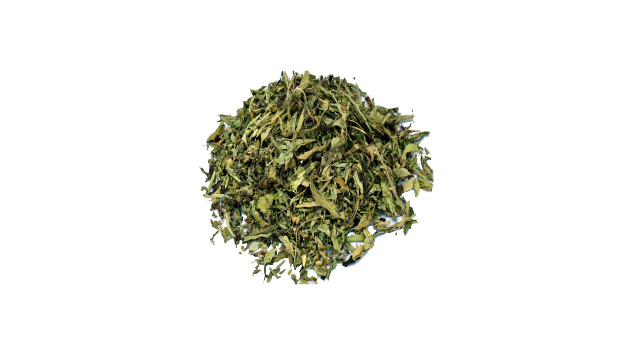 Lakpura 脱水草本 Pawatta(Justicia Adhatoda)叶子(100 克)
