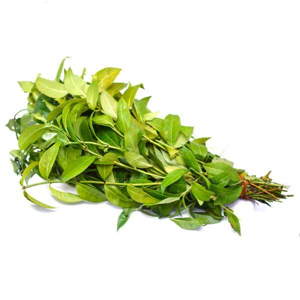 Lakpura® Gonika Leaves