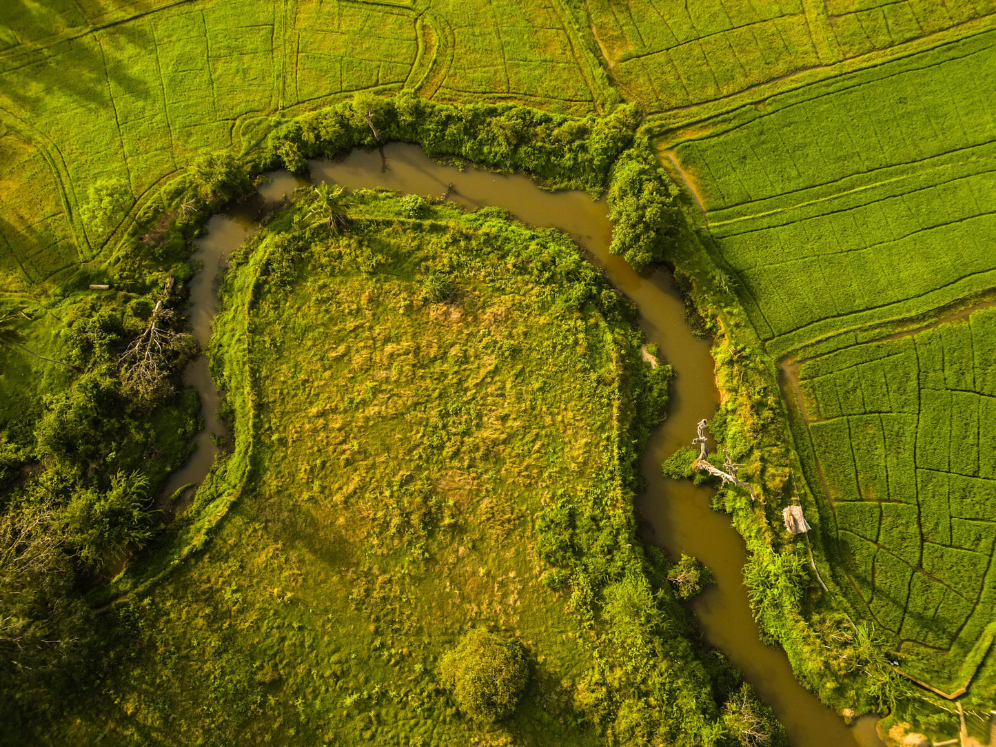 Malala Retreat, Hambantota