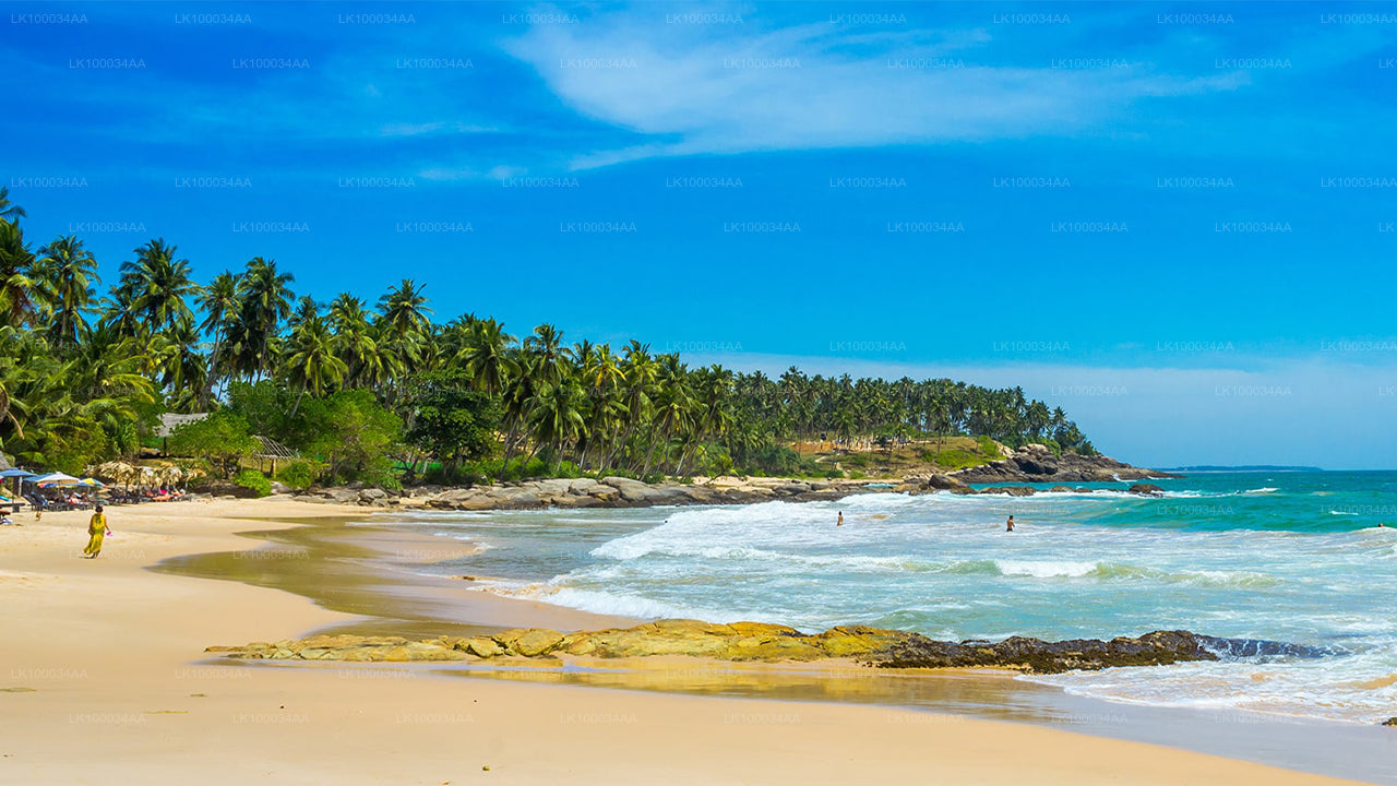 与马赫什·阿贝拉特内一起探索斯里兰卡