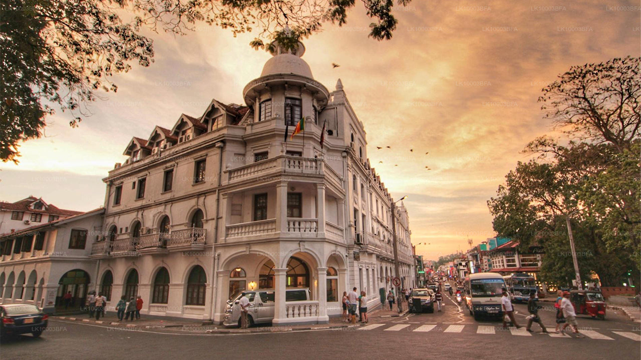 Buddhist Pilgrimage Tour (7 Days)