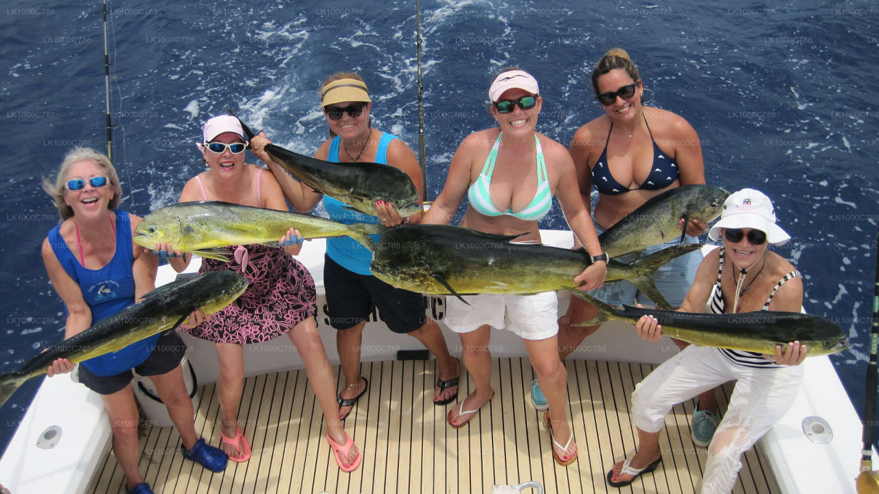 Dolphin Watching, Snorkeling, and Fishing Combined Tour at Trincomalee