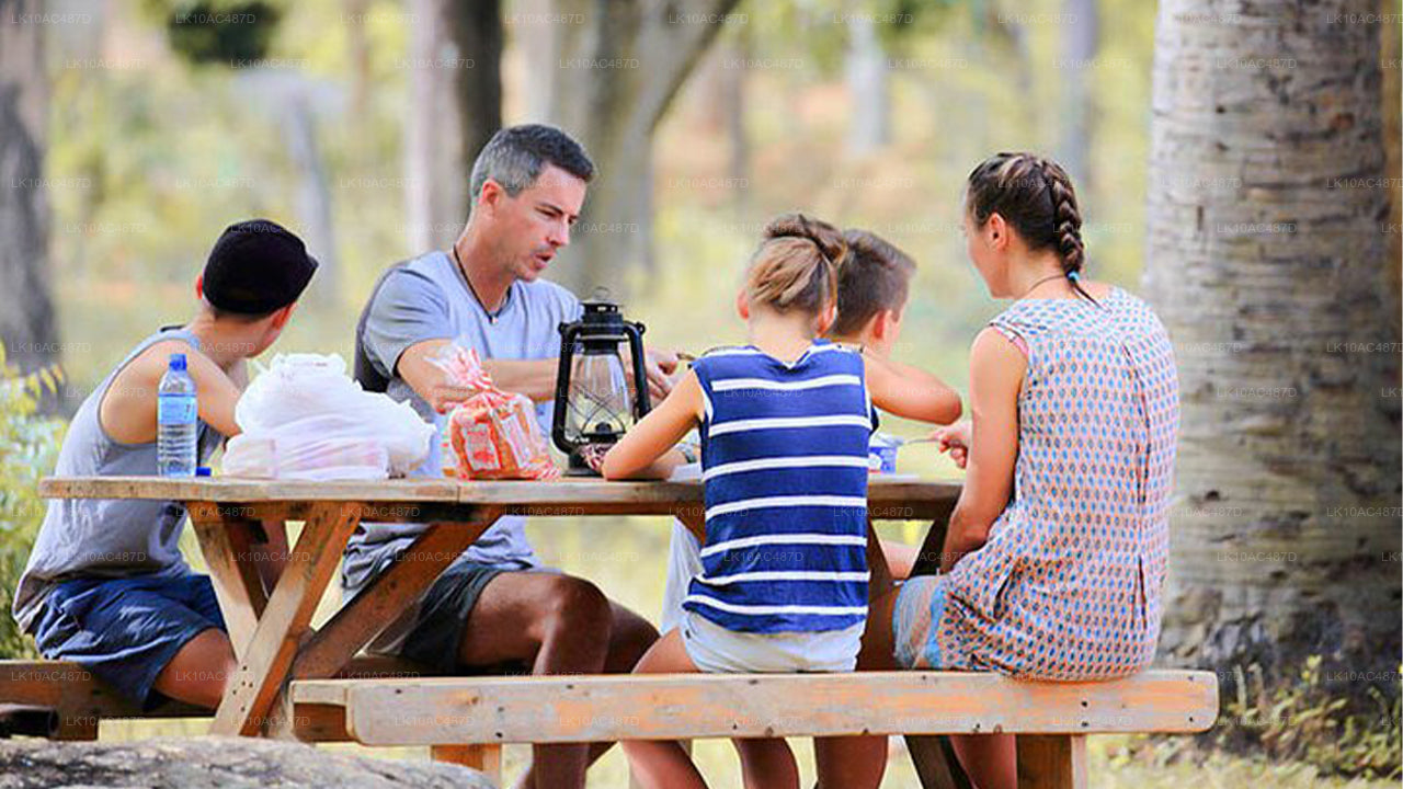 可持续之旅（10天）