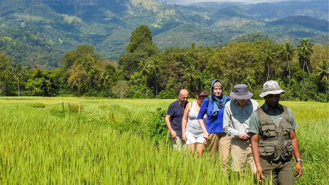 可持续之旅（10天）