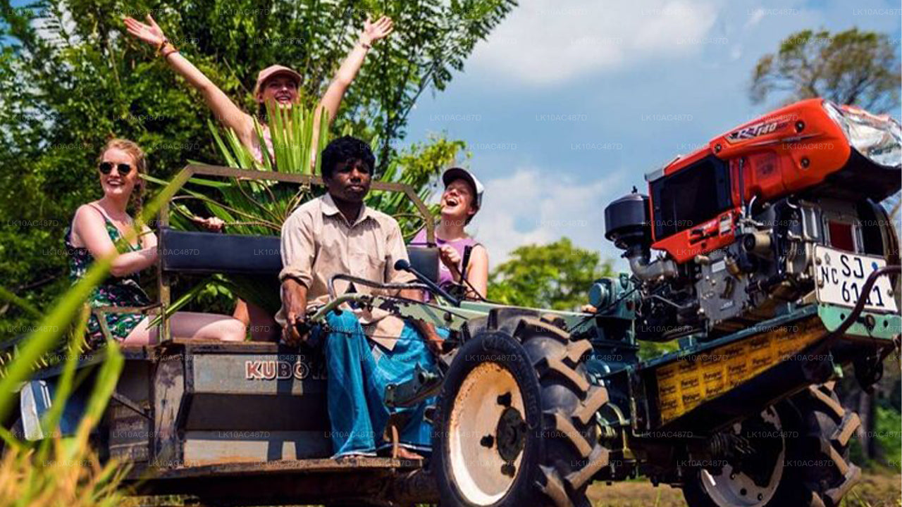 可持续之旅（10天）