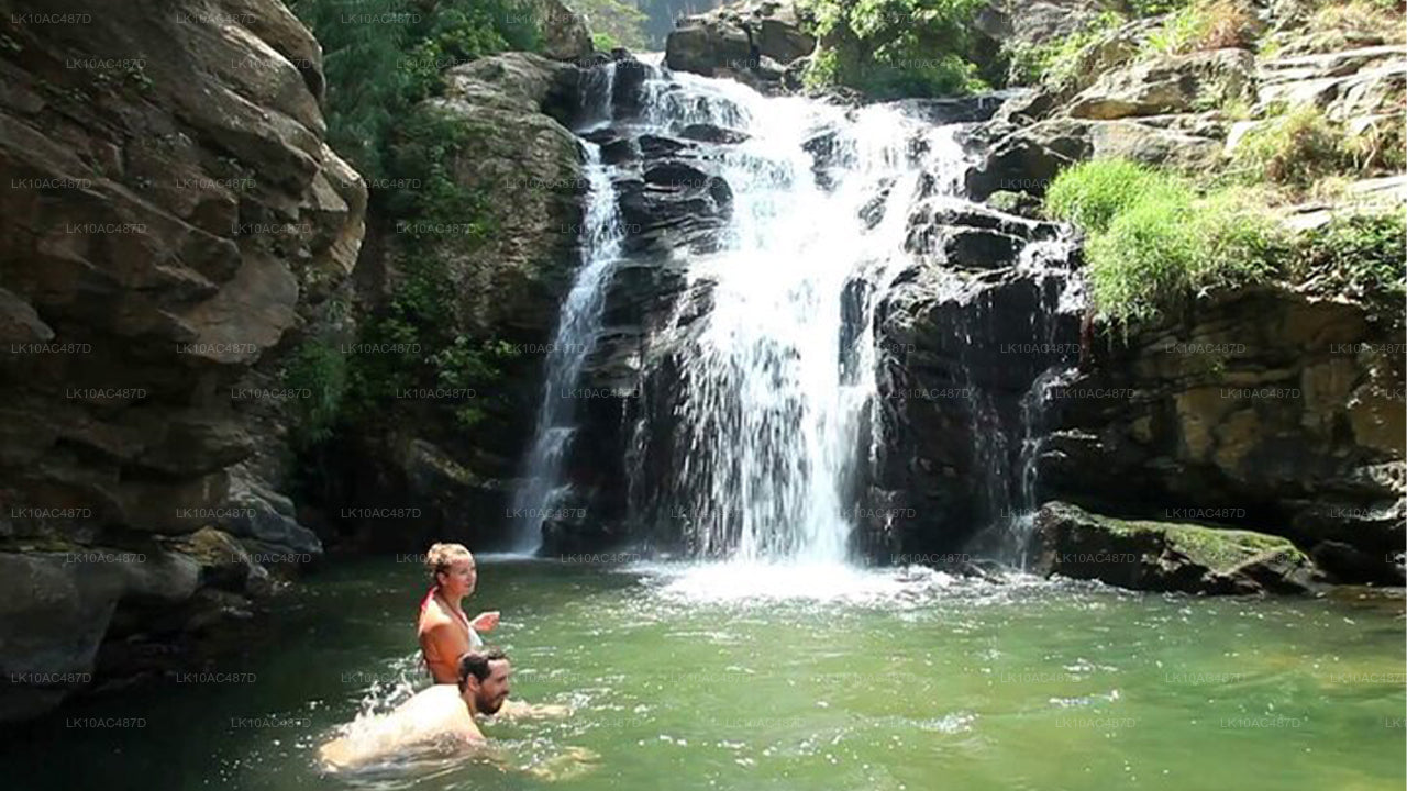 可持续之旅（10天）