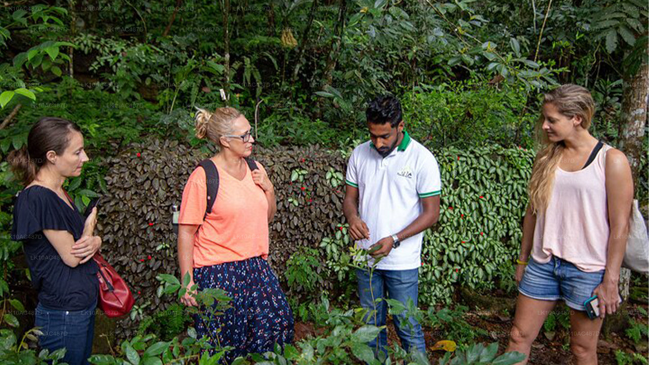 可持续之旅（10天）