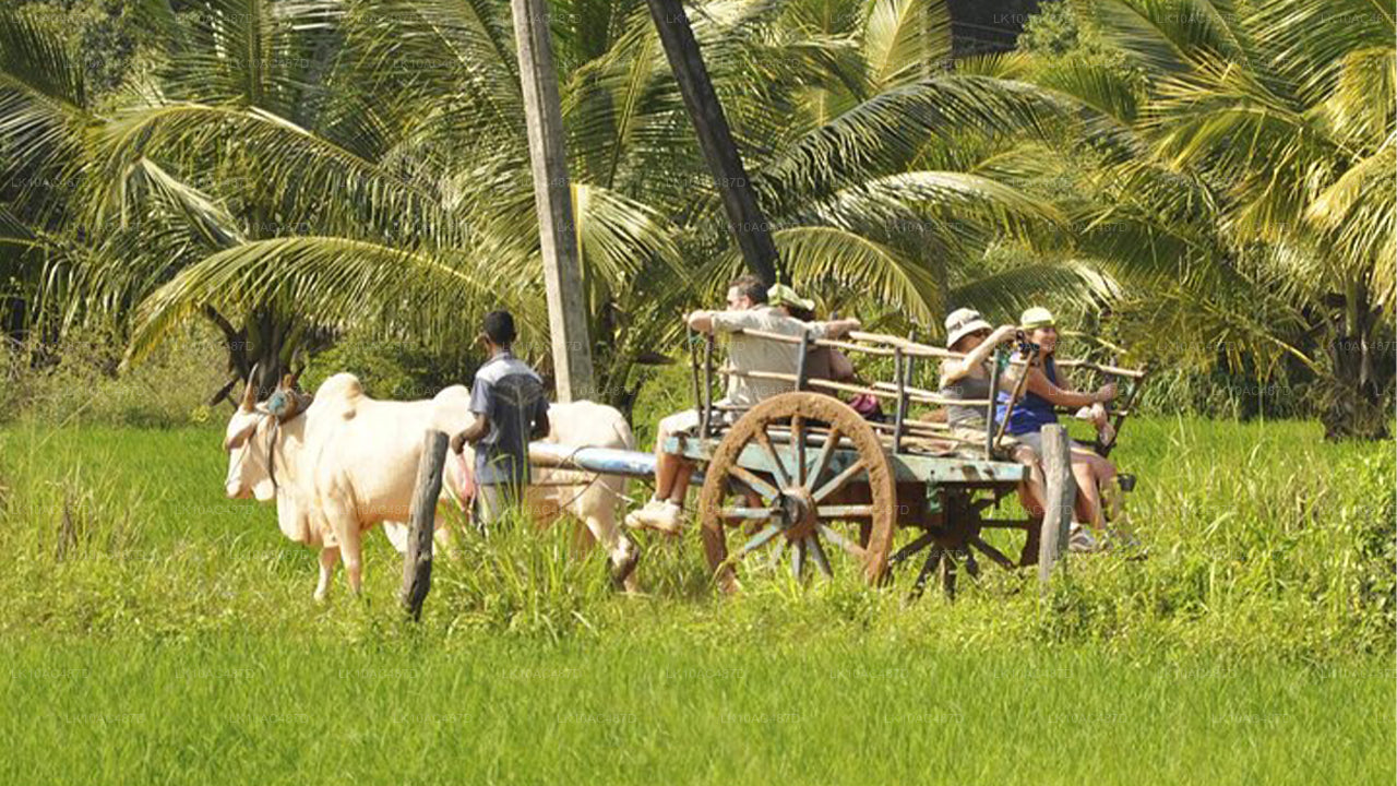 可持续之旅（10天）