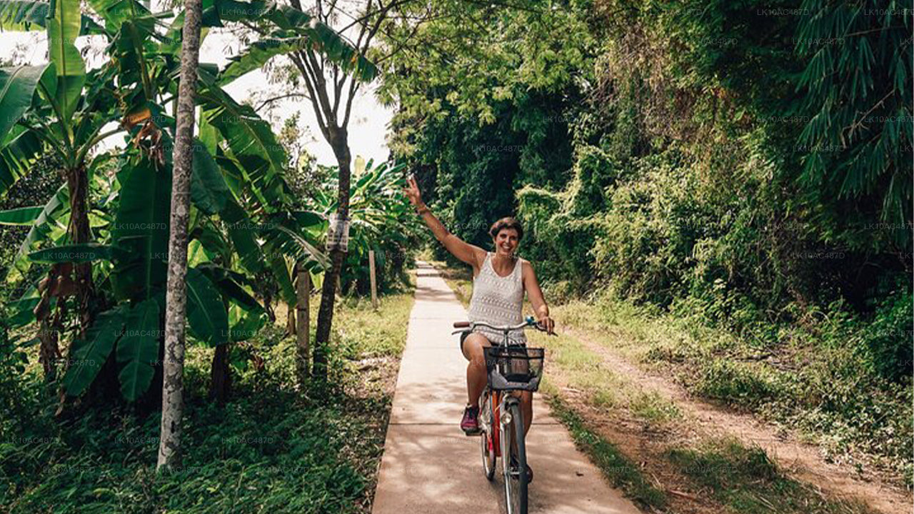 可持续之旅（10天）