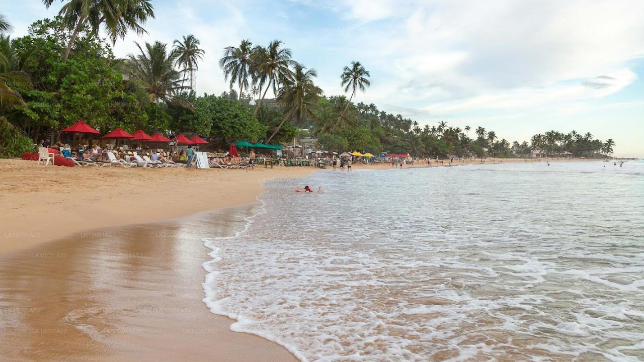 Mirissa Village, Miriss