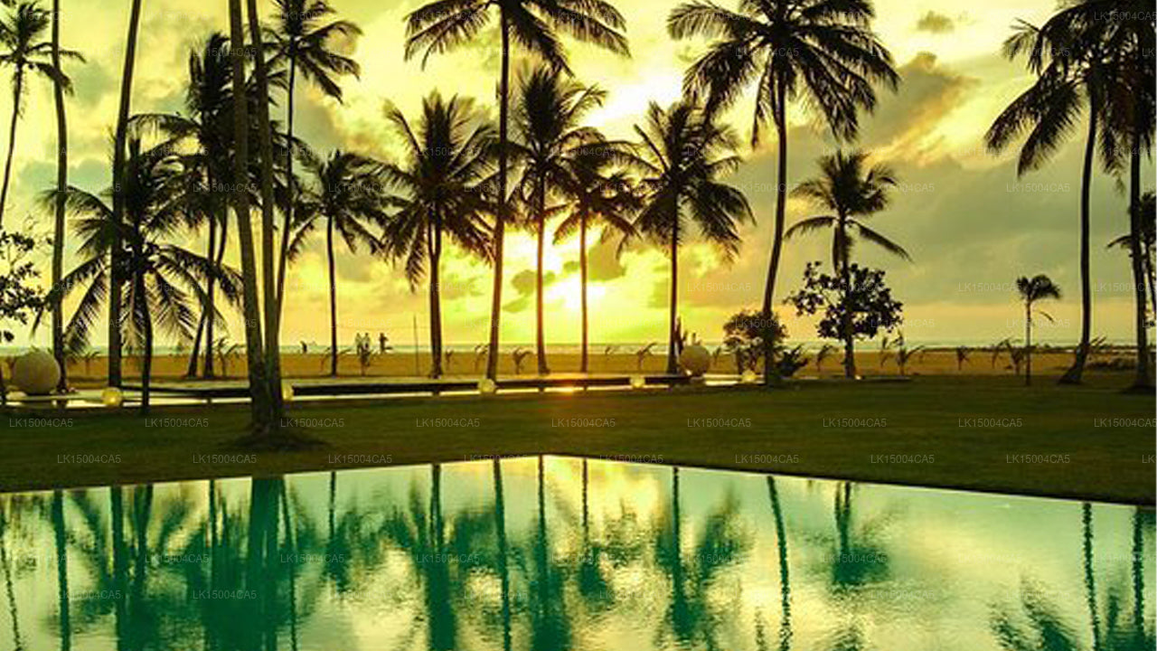 飞马礁酒店，瓦塔拉