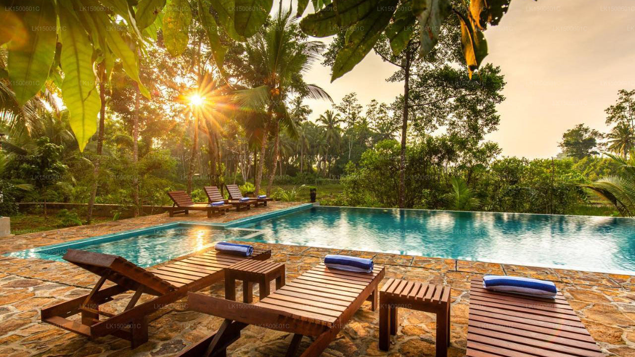 宁静精品店，乌纳瓦图纳