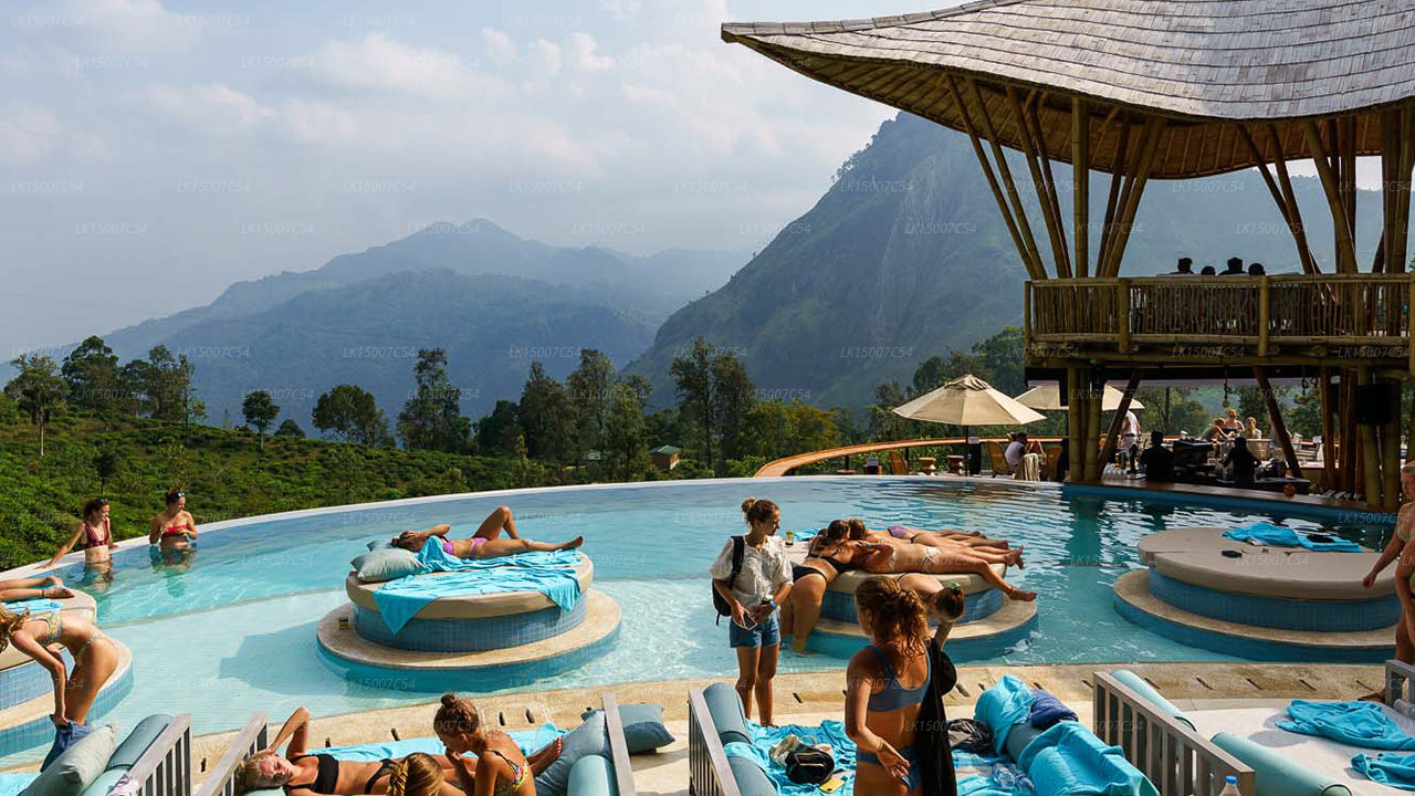 Luxury infinity pool with people relaxing, overlooking lush green mountains and forest at a scenic resort.