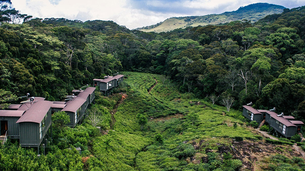 Rainforest Ecolodge, Ratnapura